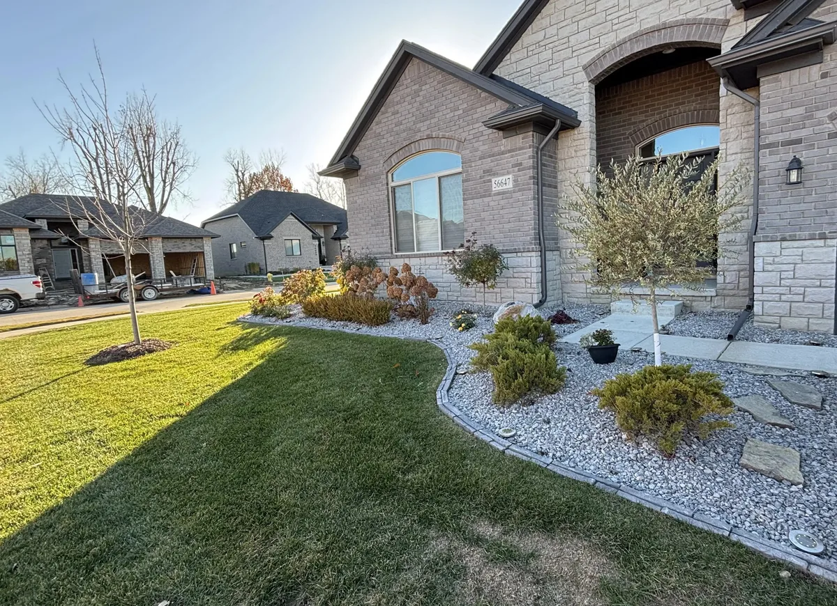 lawn after tree removal and cleanup