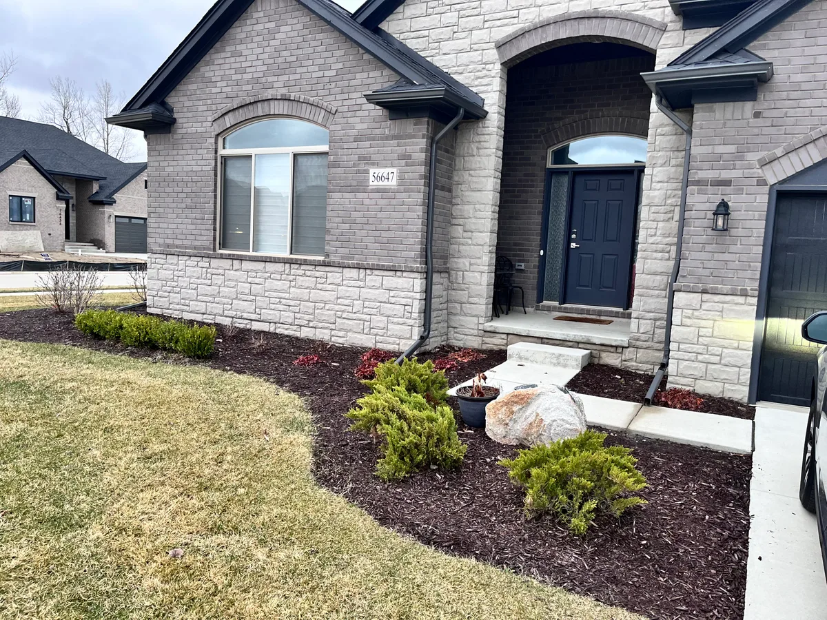 lawn before tree removal