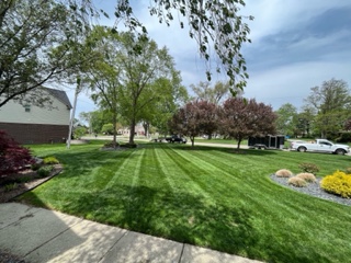 experienced landscaping team