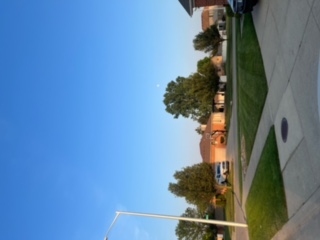 professional lawn care service