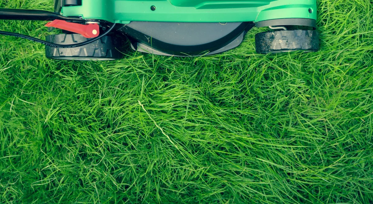 beautiful landscaped lawn background