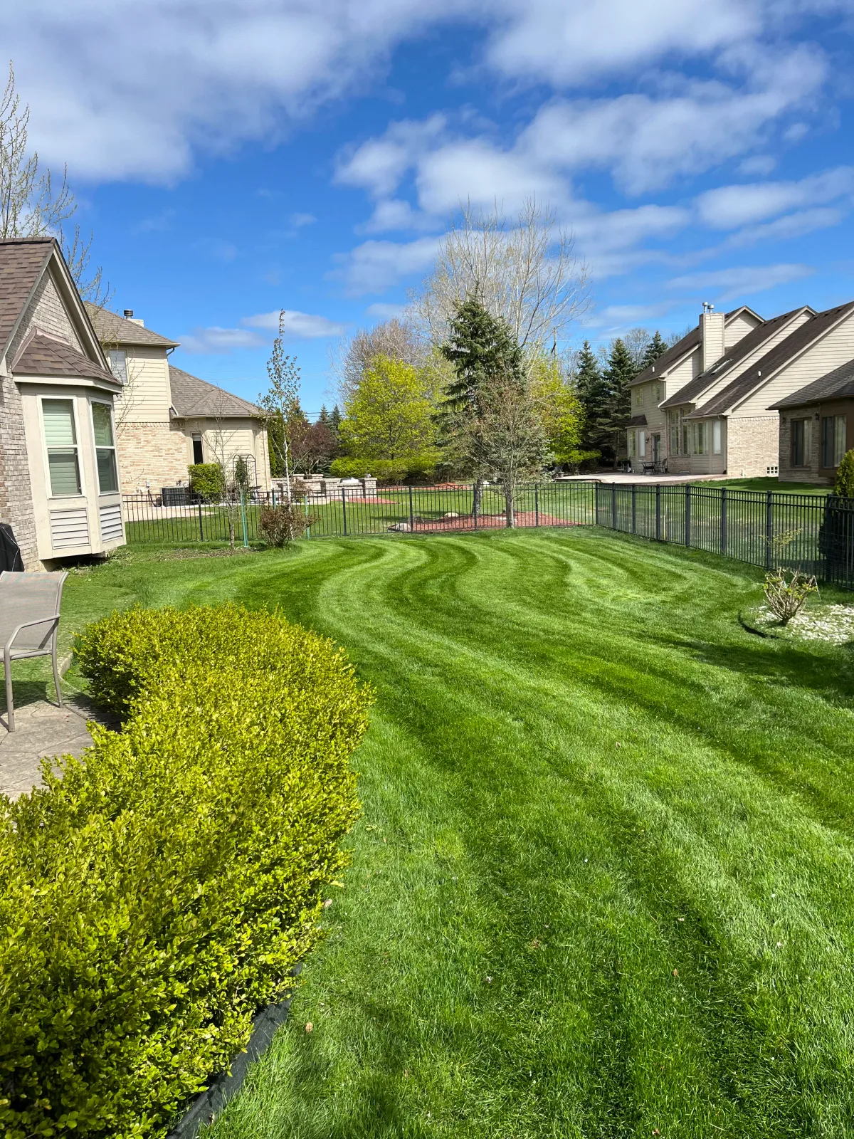 professional lawn mowing and maintenance services