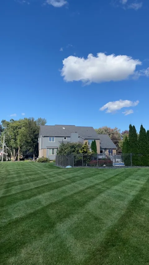 backyard landscaping and lawn care