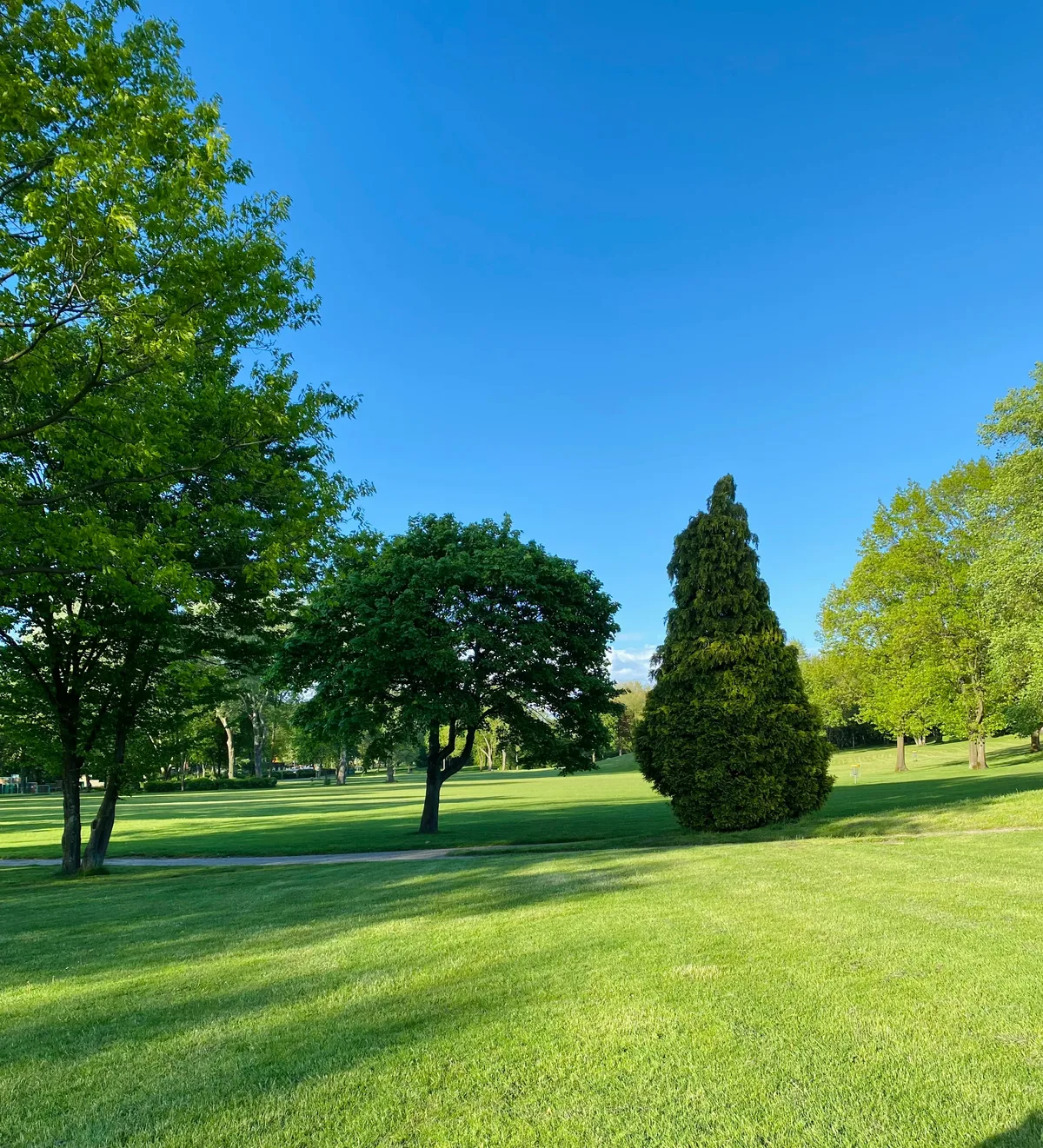 lawn care technician mowing a green lawn in Macomb, MI